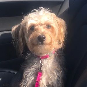 Meet your Posher, Andrea